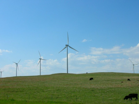 Wind Turbines in a rural area with green grass and blue skies.