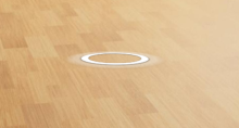 White circle on a wood floor.
