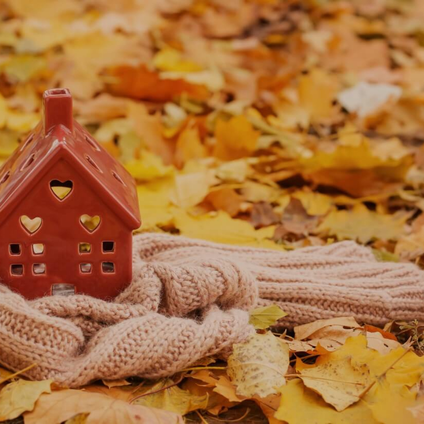 Sweater wrapped around a decorative ceramic house, sitting in autumn leaves on the ground.