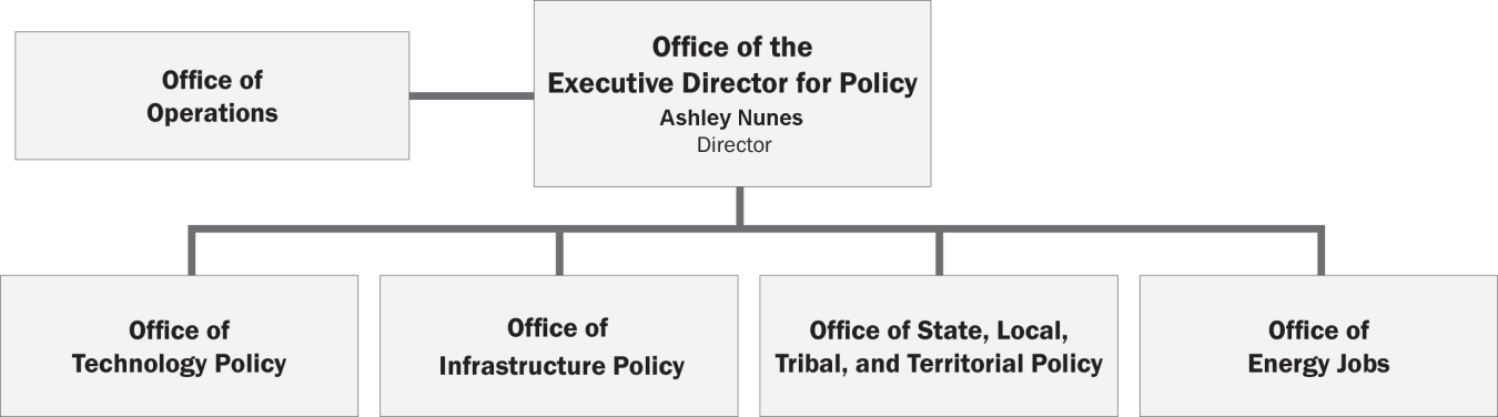 Organizational Structure of the Office of Policy