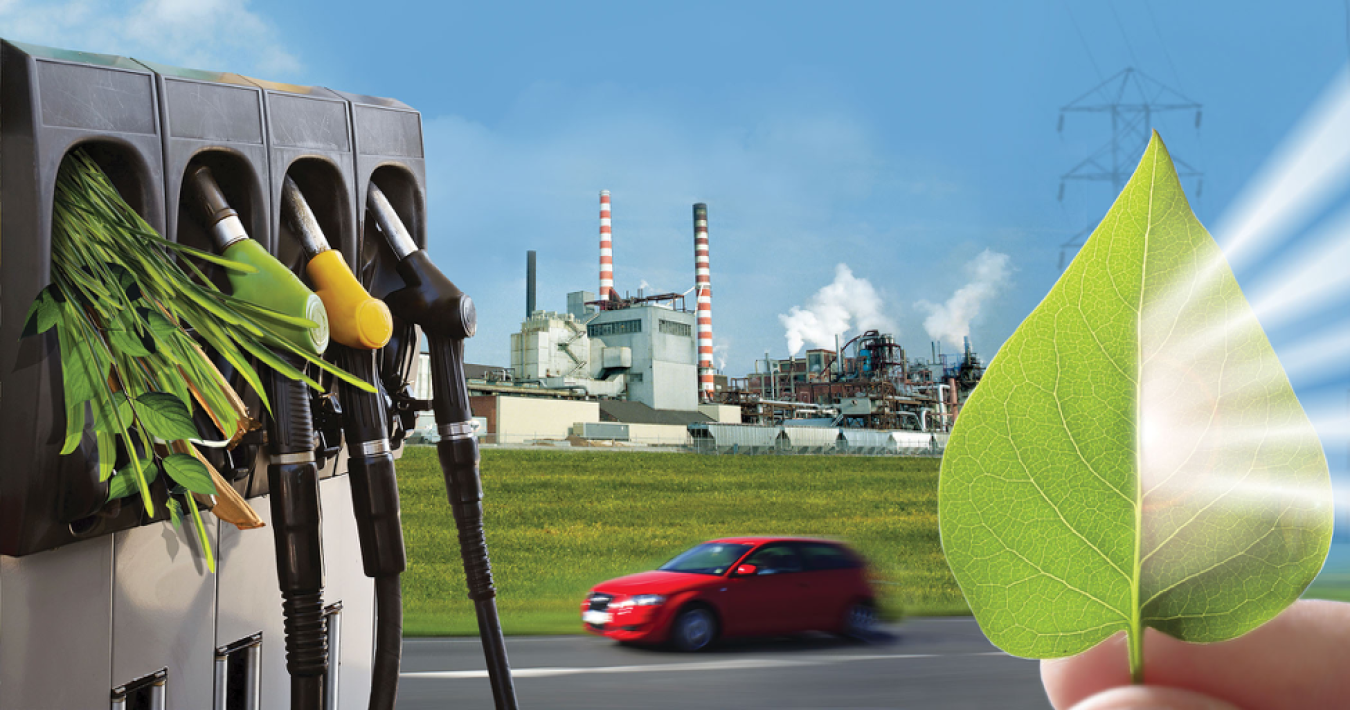 Bioenergy Basics.png
