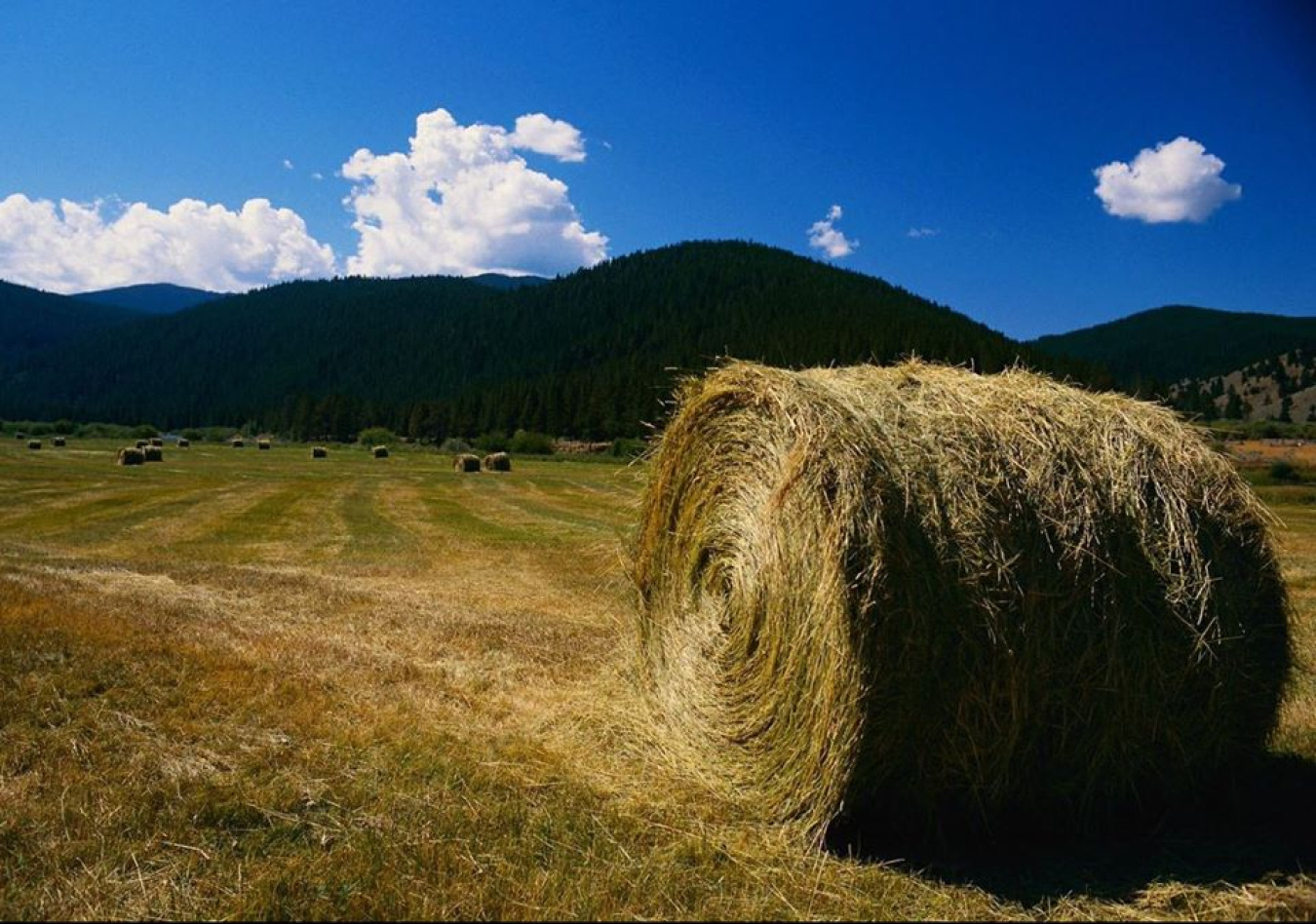 corn stover bale.jpg