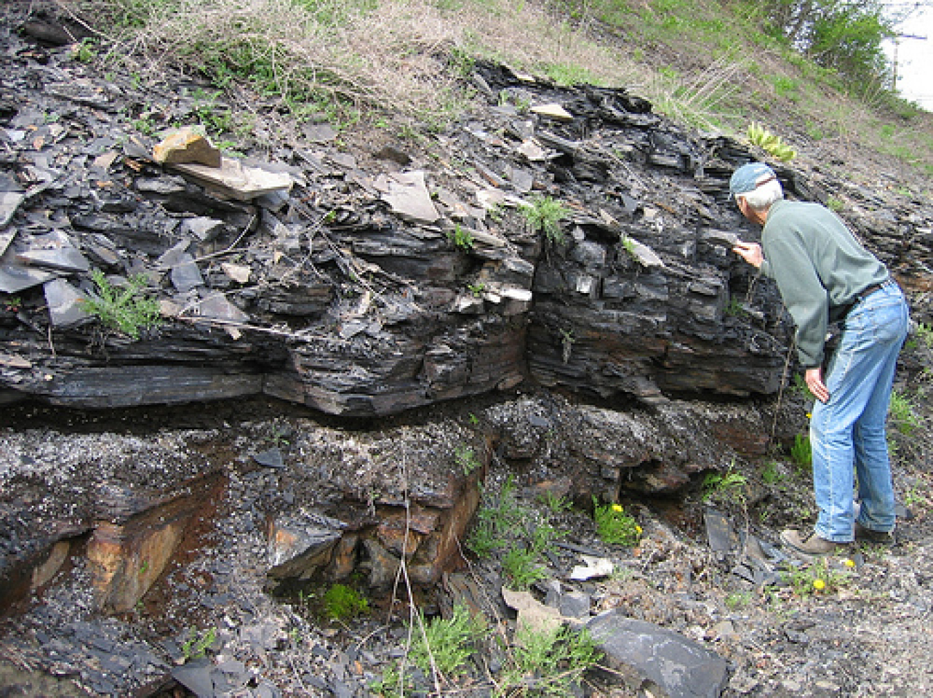 marcellus_shale.jpg