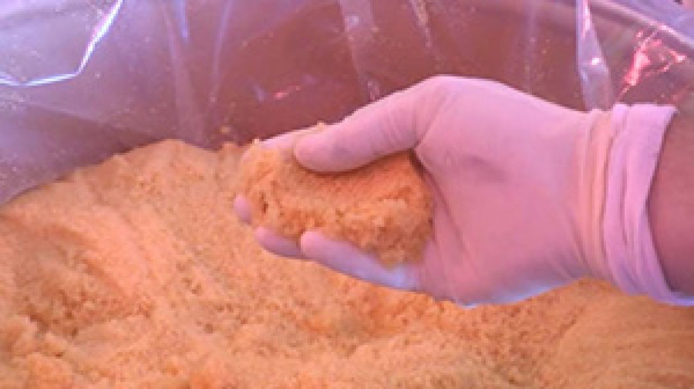 new_resin_300 pixels.jpg