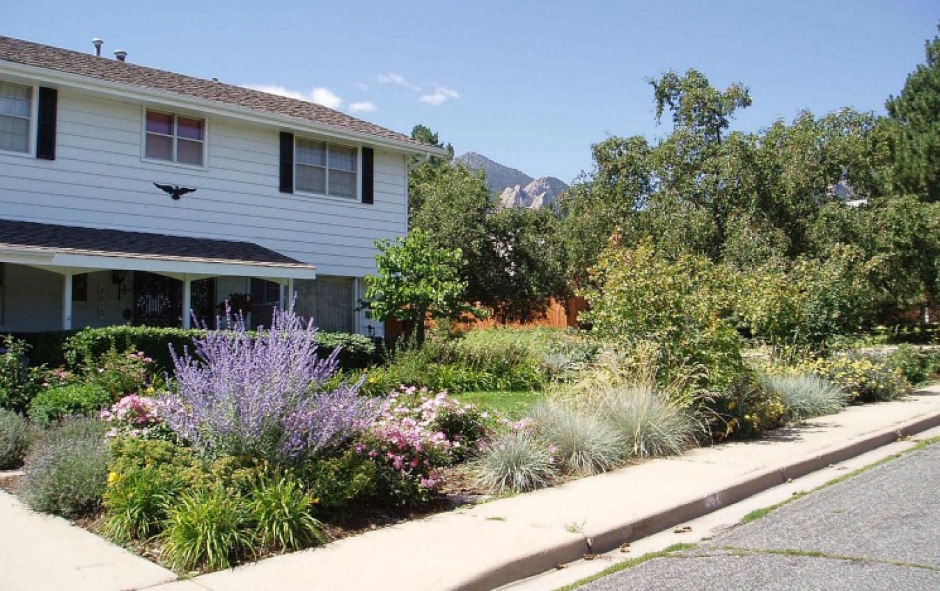 Image related to Landscaping for Water Conservation