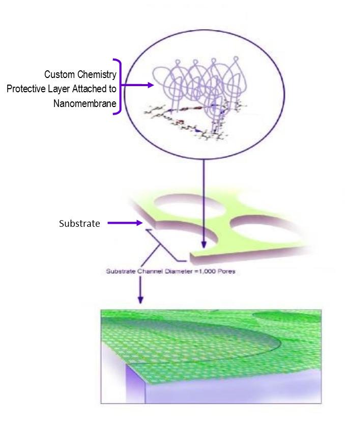 Photo of a Covalent Nanomembrane