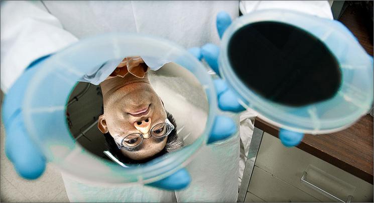 A silver wafer reflects the face of NREL research scientist Hao-Chih Yuan, before the wafer is washed with a mix of acids. The acids etch holes, absorbing light and turning the wafer black. | Photo Credit: Dennis Schroeder, NREL
A silver wafer reflects the face of NREL research scientist Hao-Chih Yuan, before the wafer is washed with a mix of acids. The acids etch holes, absorbing light and turning the wafer black. | Photo Credit: Dennis Schroeder, NREL