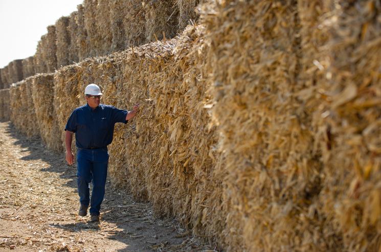 American farmers harvest 80 million acres of corn each autumn. The corn stover usually left on a hewn field can be processed into a renewable transportation fuel called bioethanol. | Image courtesy of POET American farmers harvest 80 million acres of corn each autumn. The corn stover usually left on a hewn field can be processed into a renewable transportation fuel called bioethanol. | Image courtesy of POET