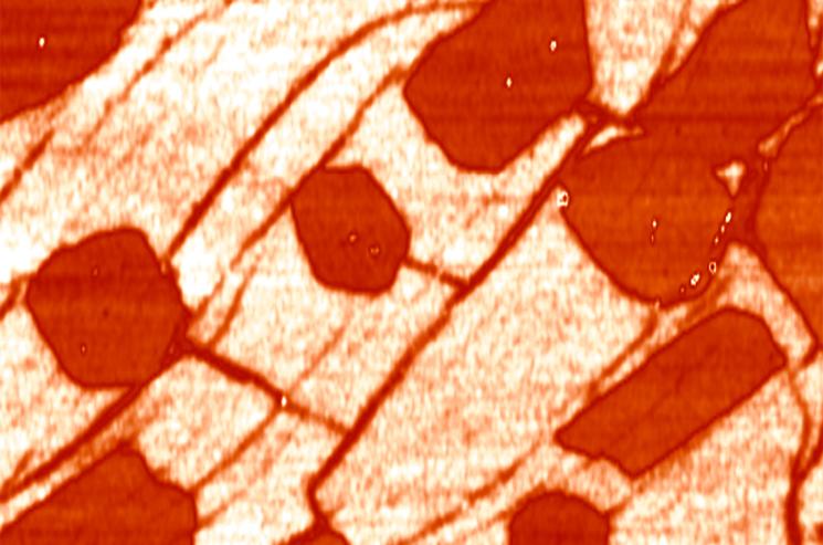 Take advantage of microwave microscopy, researchers were able to locate graphene islands on graphene. “Point defects” locally enhanced the graphene’s ability to transform waves of light into electronic signals. | Photo courtesy of Oak Ridge National Laboratory. Take advantage of microwave microscopy, researchers were able to locate graphene islands on graphene. “Point defects” locally enhanced the graphene’s ability to transform waves of light into electronic signals. | Photo courtesy of Oak Ridge National Laboratory.