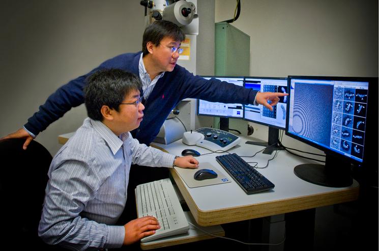 Gang Ren and Lei Zhang at Berkeley Lab's Molecular Foundry were part of a team that found new evidence to explain how cholesterol is moved from HDLs to LDLs. | Photo by Roy Kaltschmidt, Berkeley Lab Gang Ren and Lei Zhang at Berkeley Lab's Molecular Foundry were part of a team that found new evidence to explain how cholesterol is moved from HDLs to LDLs. | Photo by Roy Kaltschmidt, Berkeley Lab