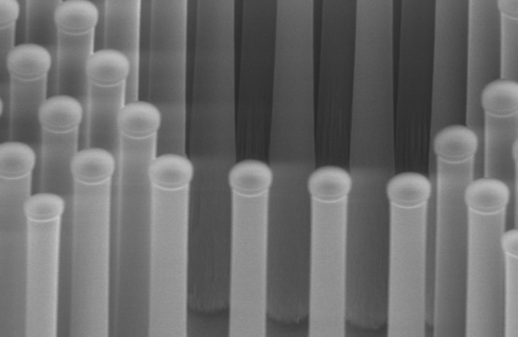 Tiny silicon pillars, used to absorb light. When dotted with a catalyst of molybdenum sulfide and exposed to sunlight, these pillars generate hydrogen gas from the hydrogen ions liberated by splitting water. Each pillar is approximately two micrometers in diameter. | Photo courtesy of Christian D. Damsgaard, Thomas Pedersen and Ole Hansen, Technical University of Denmark Tiny silicon pillars, used to absorb light. When dotted with a catalyst of molybdenum sulfide and exposed to sunlight, these pillars generate hydrogen gas from the hydrogen ions liberated by splitting water. Each pillar is approximately two micrometers in diameter. | Photo courtesy of Christian D. Damsgaard, Thomas Pedersen and Ole Hansen, Technical University of Denmark