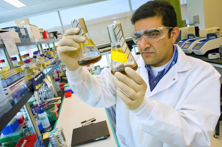 Researchers with the Energy Department’s Joint BioEnergy Institute (JBEI) at Lawrence Berkeley National Lab have identified a potential new advanced biofuel that could replace today’s standard fuel if successfully commercialized. The new blog <e>TechStream</e> will focus on new technologies coming out of the lab. | Photo courtesy of Lawrence Berkeley National Lab. Researchers with the Energy Department’s Joint BioEnergy Institute (JBEI) at Lawrence Berkeley National Lab have identified a potential new advanced biofuel that could replace today’s standard fuel if successfully commercialized. The new blog <e>TechStream</e> will focus on new technologies coming out of the lab. | Photo courtesy of Lawrence Berkeley National Lab.