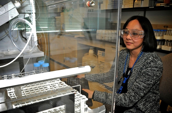 Hnin Khaing focuses on her work at WIPP Laboratories near Carlsbad, New Mexico Hnin Khaing focuses on her work at WIPP Laboratories near Carlsbad, New Mexico