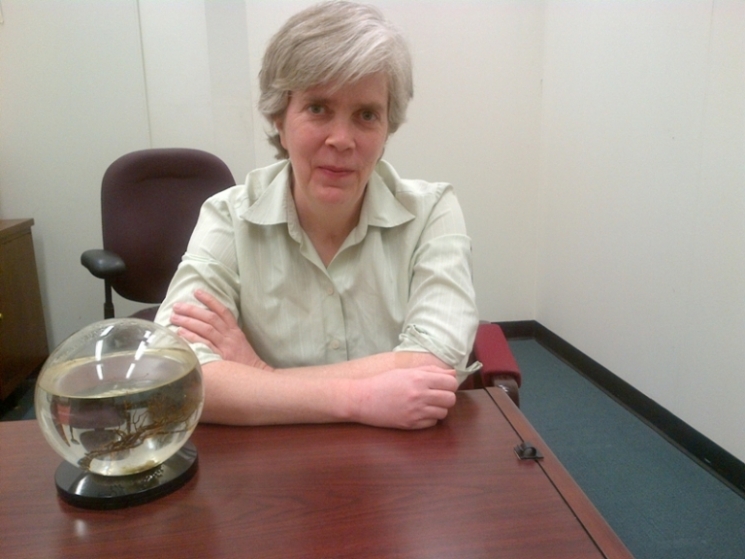 Dr. Carol Hawk is the Manager of the Cybersecurity for Energy Delivery Systems (CEDS) Program for the office of Electricity Delivery and Energy Reliability in the Department of Energy (DOE)