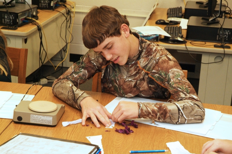 Heath Middle School eighth-grader Travis Crouch performs a pH (acidity-basicity) test using red cabbage.