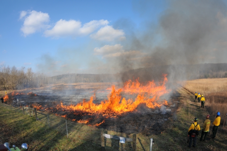A controlled prairie burn was conducted at the Portsmouth site in mid-December last year.