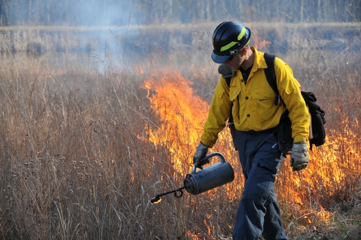A firefighter uses a drip torch, a can of fuel with a flame-carrying torch head at the spout, to ignite the fire.