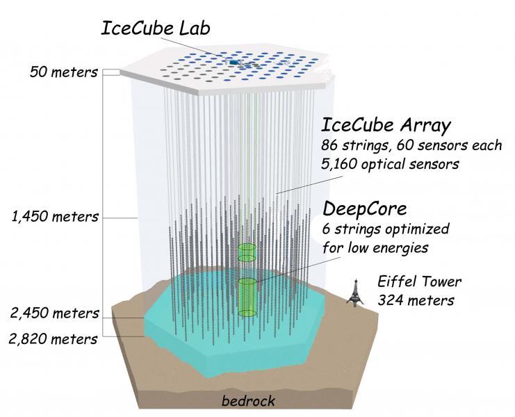 Illustration of the IceCube neutrino observatory. Source: LBNL Illustration of the IceCube neutrino observatory. Source: LBNL