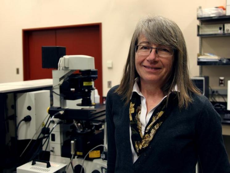Nancy Hess  | Photo Courtesy of Pacific Northwest National Lab (PNNL)