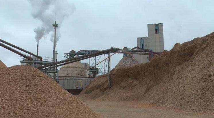 Old Town Fuel and Fiber, a former pulp mill, converts a portion of the wood chips used to make pulp to biofuels. | Energy Department photo.