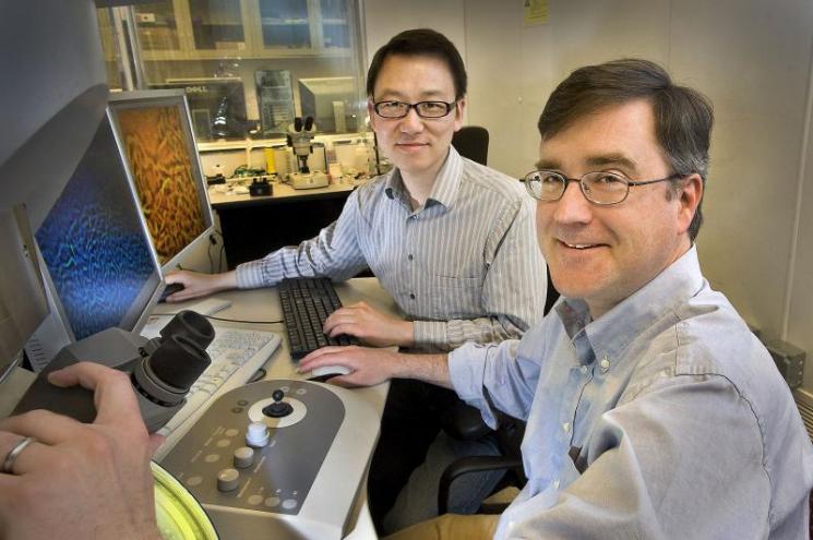 BNL scientists Dong Su and Eric Stach | Photo Courtesy of Brookhaven National Laboratory BNL scientists Dong Su and Eric Stach | Photo Courtesy of Brookhaven National Laboratory