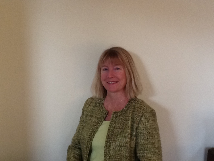 Wende Wiles, PMP, RMP, is the IT Project Management Director for Information Management in the Office of the Chief Human Information Officer, helping to implement project portfolio management for the new DAYS ServiceNow ITSM project (delivering IT project, change, incident, and service management).  