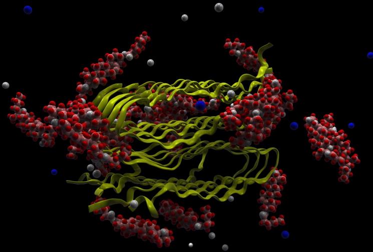 This is a visualization of drug molecules ("parade day-like balloons") in a simulated attack of the ribbon-like protein fibrils that are believed to be the cause of Alzheimer’s disease. <a href="http://energy.gov/photos/supercomputers-pictorial-superpowers">Click here to see more amazing supercomputer simulations</a>. | Image courtesy of ORNL. This is a visualization of drug molecules ("parade day-like balloons") in a simulated attack of the ribbon-like protein fibrils that are believed to be the cause of Alzheimer’s disease. <a href="http://energy.gov/photos/supercomputers-pictorial-superpowers">Click here to see more amazing supercomputer simulations</a>. | Image courtesy of ORNL.