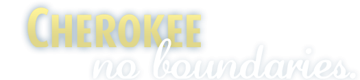 $1.4 million to Cherokee Services Group for Administrative and Property Support Services $1.4 million to Cherokee Services Group for Administrative and Property Support Services