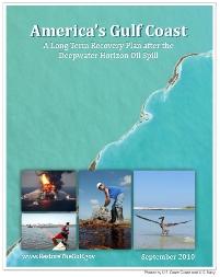A Path Forward for the Gulf Coast A Path Forward for the Gulf Coast