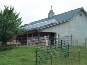 Alpacas stand outside a solar powered barn on the property of Larry and Cathi Dietsch | Photo courtesy of Larry Dietsch Alpacas stand outside a solar powered barn on the property of Larry and Cathi Dietsch | Photo courtesy of Larry Dietsch