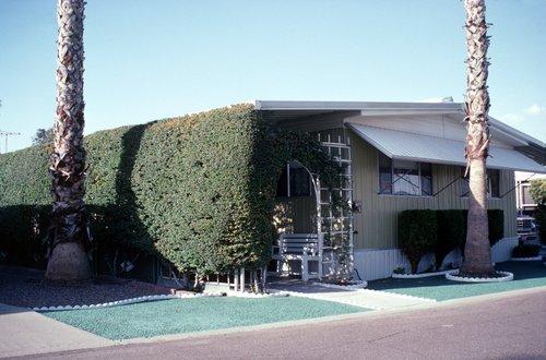 A trellis with a climbing vine can shade a home and still allow air circulation.  | Photo courtesy of John Krigger, Saturn Resource.