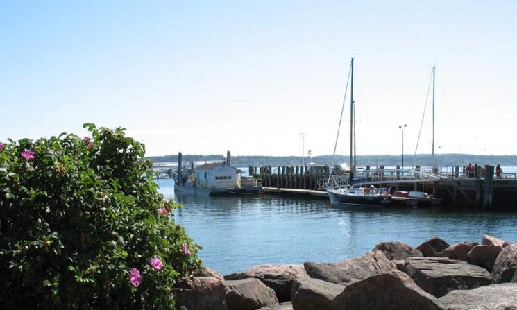 Cobscook Bay, Maine, is the site of a tidal energy pilot project led by Ocean Renewable Power Company. | Photo courtesy of Ocean Renewable Power Company. Cobscook Bay, Maine, is the site of a tidal energy pilot project led by Ocean Renewable Power Company. | Photo courtesy of Ocean Renewable Power Company.