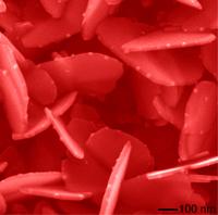 Nanoparticles grown under the irradiation of high-energy X-rays | Source: Argonne National Lab and Carnegie Institution of Washington Nanoparticles grown under the irradiation of high-energy X-rays | Source: Argonne National Lab and Carnegie Institution of Washington