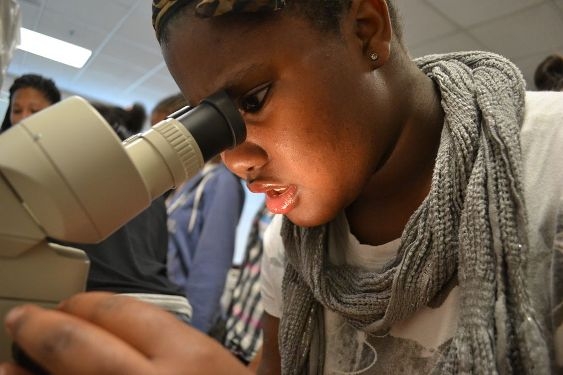 There is a critical need for more minorities to enter the energy industry. Hands-on activities like the workshop pictured above at the Spelman Girls Institute (Nov 17, 2012) help provide these entry points. There is a critical need for more minorities to enter the energy industry. Hands-on activities like the workshop pictured above at the Spelman Girls Institute (Nov 17, 2012) help provide these entry points.