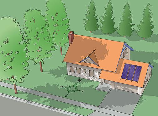 Buildings and Trees—Natural Partners. Deciduous trees planted on the south and west sides will help keep your house cool in the summer and allow sun to shine through the windows in the winter. Buildings and Trees—Natural Partners. Deciduous trees planted on the south and west sides will help keep your house cool in the summer and allow sun to shine through the windows in the winter.
