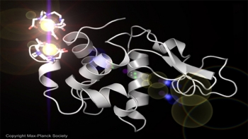 This 3-D rendering of a lysozyme molecule shows two gadolinium atoms bound to it. Researchers soaked lysozyme crystals in a solution containing the metal gadolinium to help improve imaging quality in an experiment at SLAC's Linac Coherent Light Source (LCLS) X-ray laser. The experiment proved that LCLS can resolve the lysozyme structure without using data obtained earlier, and researchers hope to use similar techniques to reconstruct important unsolved proteins. | Photo credit: Max Planck Society. This 3-D rendering of a lysozyme molecule shows two gadolinium atoms bound to it. Researchers soaked lysozyme crystals in a solution containing the metal gadolinium to help improve imaging quality in an experiment at SLAC's Linac Coherent Light Source (LCLS) X-ray laser. The experiment proved that LCLS can resolve the lysozyme structure without using data obtained earlier, and researchers hope to use similar techniques to reconstruct important unsolved proteins. | Photo credit: Max Planck Society.