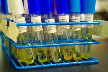 Algae samples back at the NREL lab, ready to be analyzed and run through the Fluorescent-Activated Cell Sorter, or FACS, which separates the cells. | Credit: NREL Staff Photographer Dennis Schroeder. Algae samples back at the NREL lab, ready to be analyzed and run through the Fluorescent-Activated Cell Sorter, or FACS, which separates the cells. | Credit: NREL Staff Photographer Dennis Schroeder.