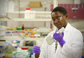Wellington Muchero is a quantitative geneticist at the Bioenergy Science Center in Oak Ridge, Tennessee. | Photo by Jason Richards, Oak Ridge National Laboratory. Wellington Muchero is a quantitative geneticist at the Bioenergy Science Center in Oak Ridge, Tennessee. | Photo by Jason Richards, Oak Ridge National Laboratory.