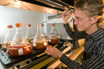Argonne National Lab biologists Philip Laible (pictured) and Deborah Hanson, R&D 100 award recipients, developed a system that uses photosynthetic bacteria (Rhodobacter) to create much larger amounts of membrane protein than was ever before available, driving down production costs and making studies of membrane proteins easier both in terms of scalability and purification. | Photo by Wes Agresta, Argonne National Laboratory. Argonne National Lab biologists Philip Laible (pictured) and Deborah Hanson, R&D 100 award recipients, developed a system that uses photosynthetic bacteria (Rhodobacter) to create much larger amounts of membrane protein than was ever before available, driving down production costs and making studies of membrane proteins easier both in terms of scalability and purification. | Photo by Wes Agresta, Argonne National Laboratory.