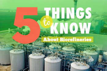 Five Things to Know about Biorefinery Investments Five Things to Know about Biorefinery Investments