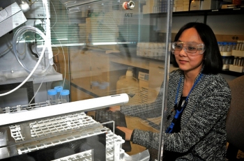 Hnin Khaing focuses on her work at WIPP Laboratories near Carlsbad, New Mexico Hnin Khaing focuses on her work at WIPP Laboratories near Carlsbad, New Mexico
