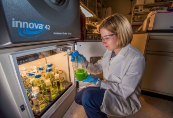 Anne Ruffing works at Sandia National Laboratories as a Senior Member of the Technical Staff in the Department of Bioenergy and Defense Technologies. Photo by Randy Montoya, Sandia National Laboratories. Anne Ruffing works at Sandia National Laboratories as a Senior Member of the Technical Staff in the Department of Bioenergy and Defense Technologies. Photo by Randy Montoya, Sandia National Laboratories.