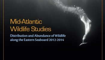 Innovative Study Helps Offshore Wind Developers Protect Wildlife Innovative Study Helps Offshore Wind Developers Protect Wildlife