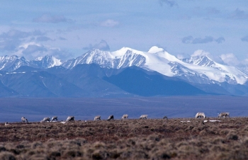 Project Aids Development of Legacy Oilfield on Alaskaâs North Slope Project Aids Development of Legacy Oilfield on Alaskaâs North Slope