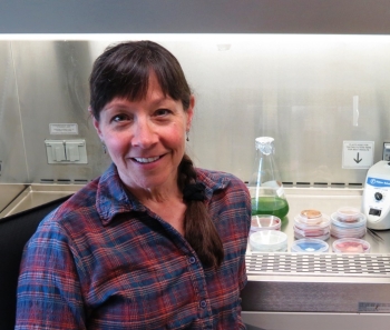 Environmental microbiologist Cheryl Kuske built a world-renowned Los Alamos research program targeting complex microbial communities in the environment. Environmental microbiologist Cheryl Kuske built a world-renowned Los Alamos research program targeting complex microbial communities in the environment.
