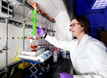 Deanna Pickel is on the Research Staff of the Macromolecular Nanomaterials Group, at Oak Ridge National Laboratoryâs Center for Nanophase Materials Sciences Division. Deanna Pickel is on the Research Staff of the Macromolecular Nanomaterials Group, at Oak Ridge National Laboratoryâs Center for Nanophase Materials Sciences Division.