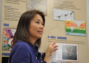 Women @ Energy: Diane Chinn Women @ Energy: Diane Chinn