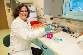 Giselle Sandi received a Ph.D. in electrochemistry and joined Argonne National Laboratory as a postdoctoral appointee in 1994. Giselle Sandi received a Ph.D. in electrochemistry and joined Argonne National Laboratory as a postdoctoral appointee in 1994.