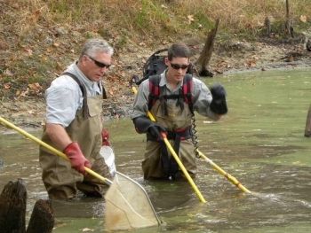 Oak Ridge scientists Kelly Roy, left, and Trent Jett collect fish samples in 2011 to support
research on the impacts of the treatment in Tims Branch, a small stream at the Savannah
River Site. Oak Ridge scientists Kelly Roy, left, and Trent Jett collect fish samples in 2011 to support
research on the impacts of the treatment in Tims Branch, a small stream at the Savannah
River Site.