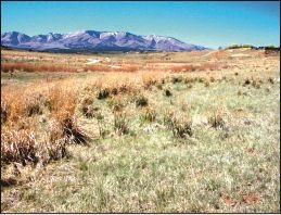 The cleaned up mill site was restored with native plants and transferred to Monticello for recreational use. The cleaned up mill site was restored with native plants and transferred to Monticello for recreational use.